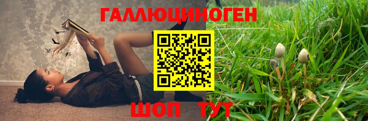 Псилоцибиновые грибы GOLDEN TEACHER Знаменск