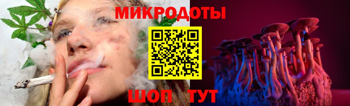 Галлюциногенные грибы MAGIC MUSHROOMS  Вход с VPN  Знаменск 